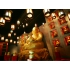 FAT-BUDDHA TOKYO 渋谷 ファットブッダトーキョーの写真