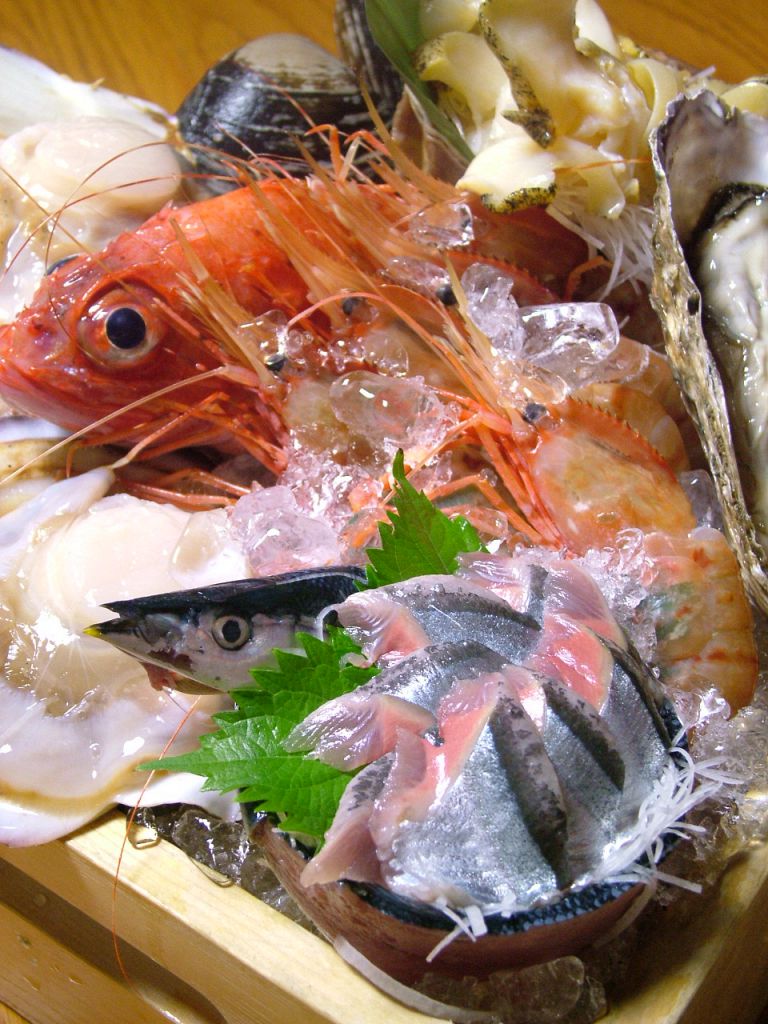 道内16漁港から届く活〆鮮魚メニューも必見!コマイ、アブラコ、ホッケなど刺身で珍しい魚もあります