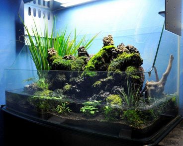 かんしゃ 海鮮居酒屋の雰囲気1
