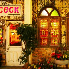 ピーコック PEACOCKの写真
