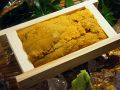 料理メニュー写真&nbsp;北方四島産生ウニ