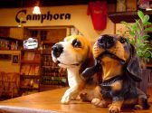 Camphora