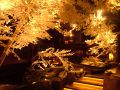 千葉　川の音の雰囲気