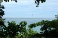 本島仕入れのお酒はもちろん