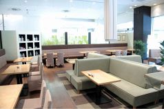 シュハリロッカン shuhari六甘 くずはモール店の写真