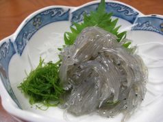 料理メニュー写真 生しらす