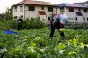 ひだまり農園 中野 朝摘み野菜の和食居酒屋のおすすめポイント1