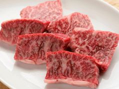 楽洛亭 らくらくてい 難波 炭火焼肉のおすすめ料理1