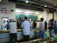魚は地方漁港直接仕入れ！