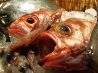 富山直送の魚と串揚げの店　さしあげ亭　池袋店のおすすめポイント1