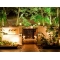 ジ オリエンタル テラスの写真