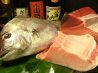 蕨 居酒屋のおすすめポイント2