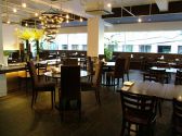 Cafe La Zuccaの雰囲気3