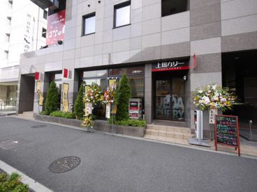 上田カリーの雰囲気1