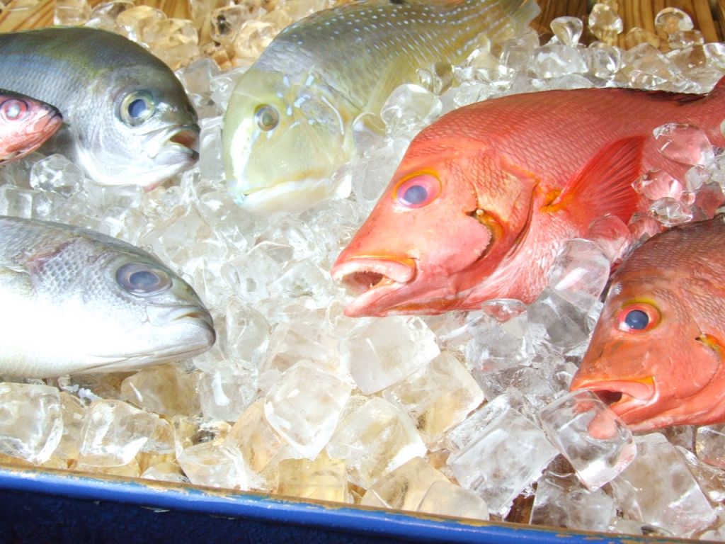 その日近くの漁港で仕入れる新鮮な魚♪お客様のお好みの調理法で提供致します。