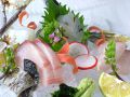 隠蔵 御馳喜々 かくれが ごちききのおすすめ料理1