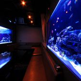 蒼の扉 渋谷 海底の神秘の雰囲気3