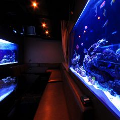 蒼の扉 渋谷 海底の神秘の雰囲気3
