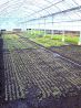 エスキナ ESQUINAのおすすめポイント1