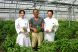 地元静岡産の無農薬野菜