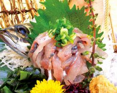 料理メニュー写真 あじのたたき