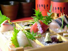 料理メニュー写真 LOTUSのお造り盛り合わせ