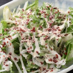 料理メニュー写真 ・シーザーサラダ