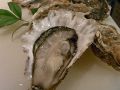 料理メニュー写真&nbsp;鮮魚