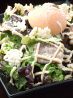 カフェ リーゾ RIZOのおすすめポイント1