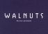 WALNUTSウォールナッツ 西麻布のお店ロゴ