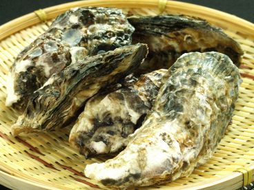 かき小屋○座 まるざのおすすめ料理1