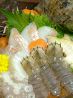 菜八 居酒屋のおすすめポイント3