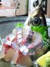 古今のおすすめポイント2