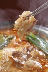 本格近江もつ鍋こゆう 膳所駅前店の写真