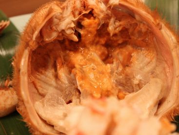 北輝 ほっきのおすすめ料理1