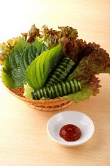 料理メニュー写真 サンチュ