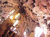 花見茶屋 あうるの雰囲気2