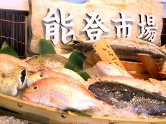 能登の海の写真