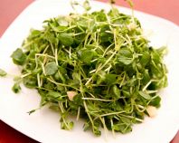 さっぱり！豆苗の塩炒め
