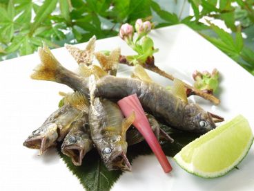 よしだまち 宇多がわ UTAGAWAのおすすめ料理1