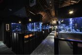 アクアリウムレストラン 麻布十番ライムの雰囲気3
