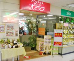 グリーンオアシス 宮内店の写真