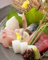 料理メニュー写真&nbsp;鮪/真鯛/サーモン/平目/剣先イカ/ボタン海老/〆鯖/うに・いくら（つまみ）　…他
