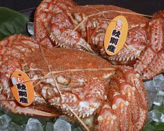 どんだべ 庚午店 海鮮問屋の写真