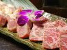 囲炉裏の家 むくの木のおすすめポイント2