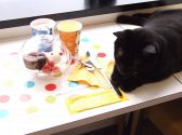猫まるカフェのおすすめ料理2