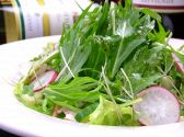 ラテン クラブ SPANISH HARLEM LATIN CLUBのおすすめ料理3