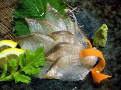 魚道楽 大通の写真
