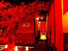 紅葉時雨 銀座の写真