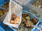 魚八 麹町店の雰囲気2